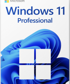 Windows 11 Pro